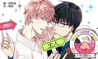 漫画真爱狗,温情脉脉的宠物情缘